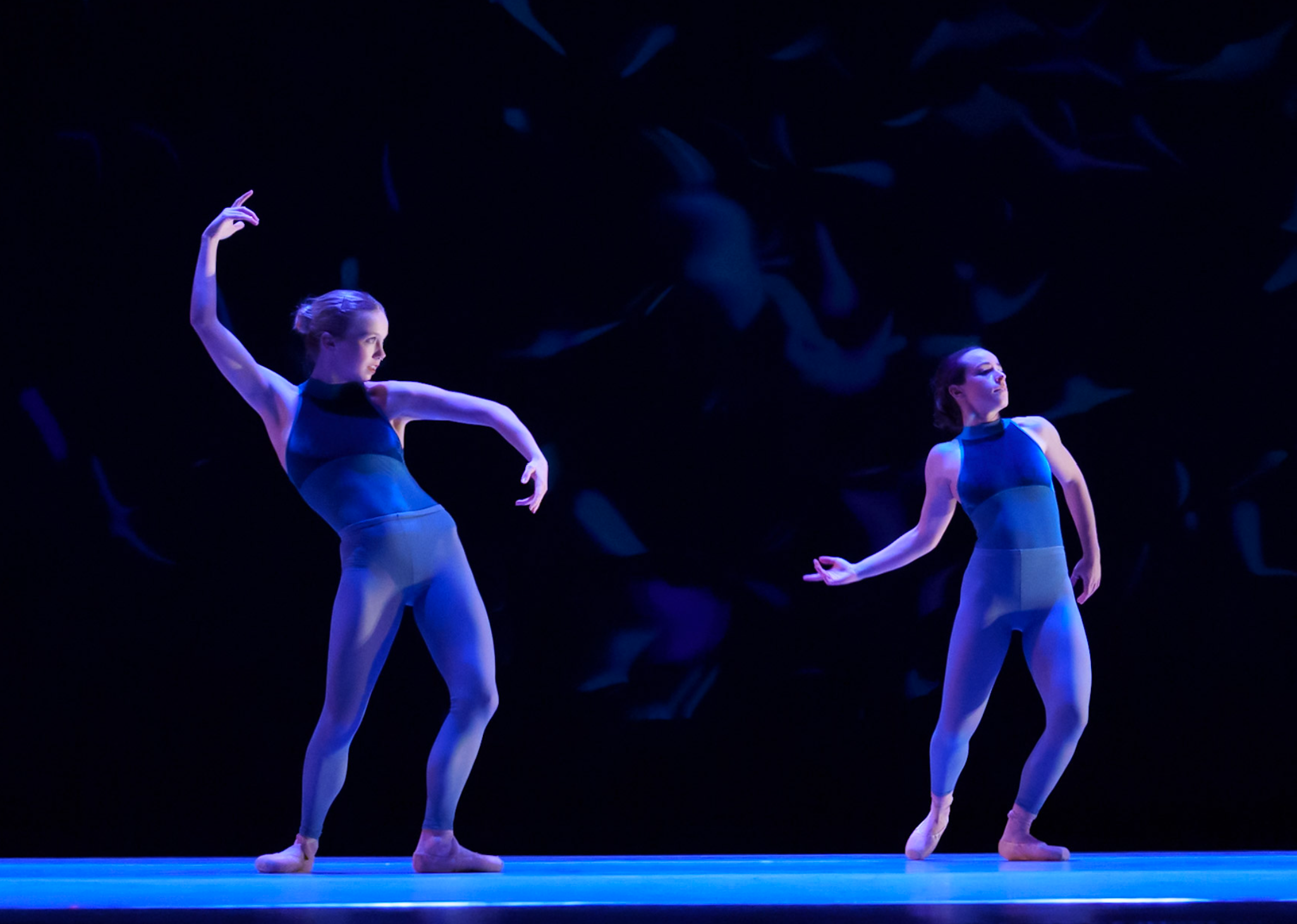 UCSB Dance Company Projections Image 8